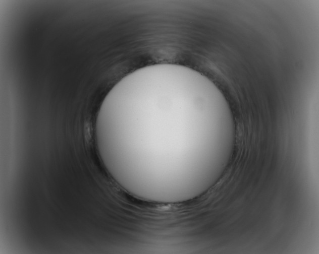 X0000088630130200705250906