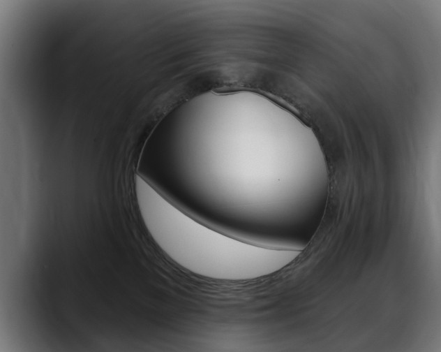 X0000088630137200705250906