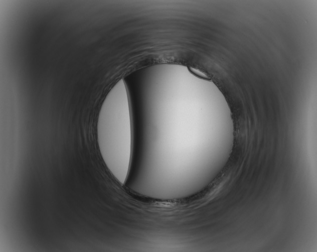 X0000088630139200705250906