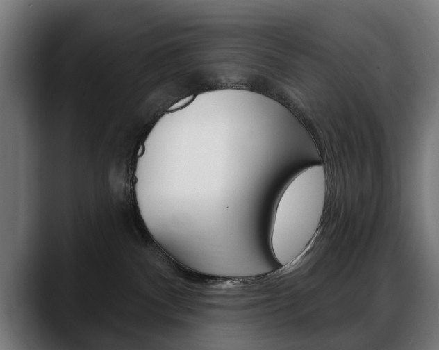 X0000088630140200705250906