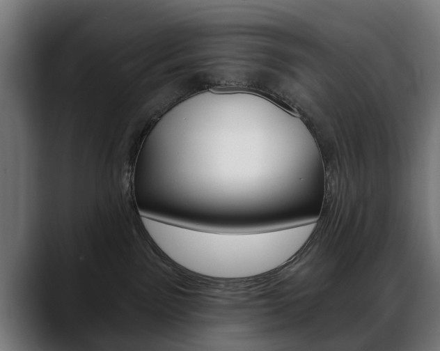 X0000088630141200705250906