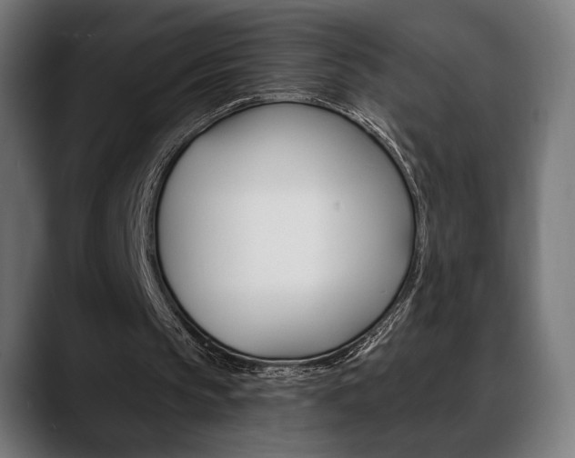 X0000088630145200705250905