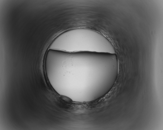 X0000088630147200705250905
