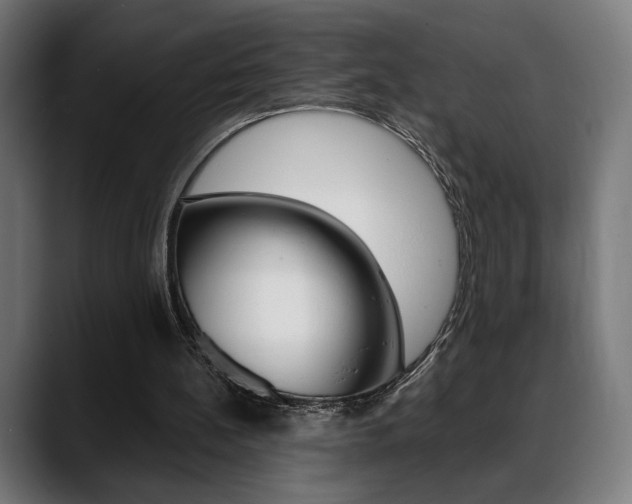 X0000088630148200705250905