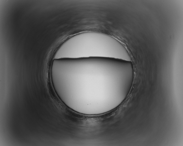 X0000088630149200705250905