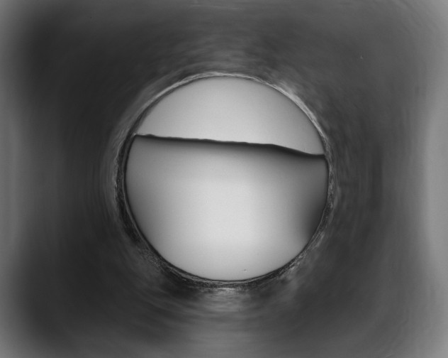 X0000088630151200705250905