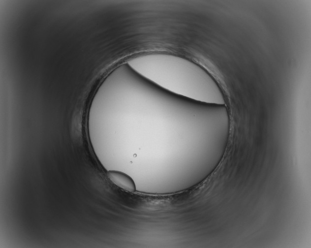 X0000088630155200705250905