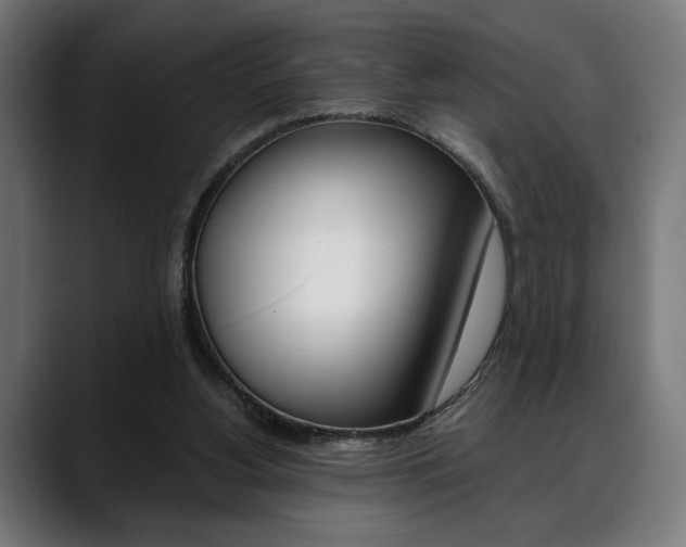 X0000088630156200705250905
