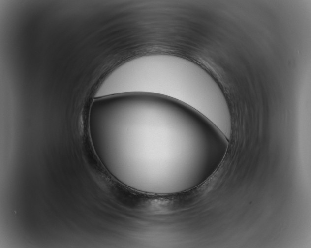 X0000088630158200705250905