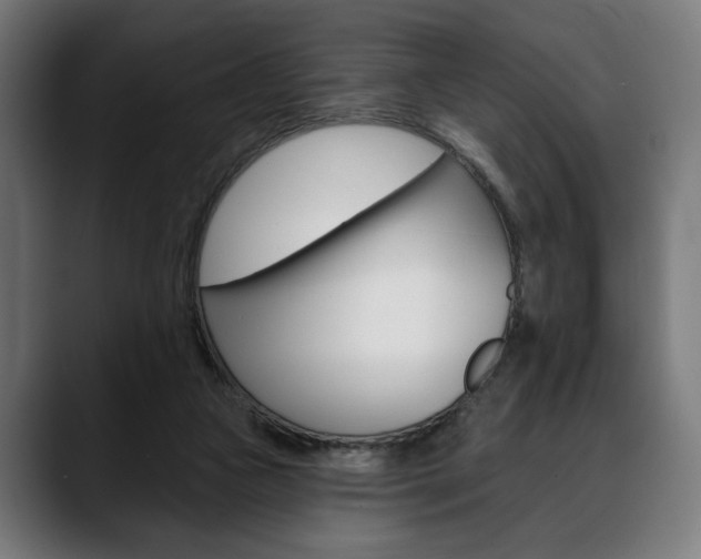 X0000088630161200705250905