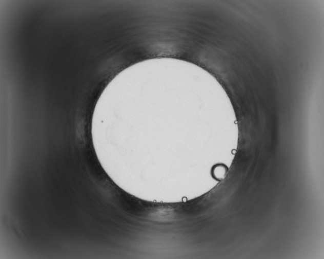 X0000088630162200705250905
