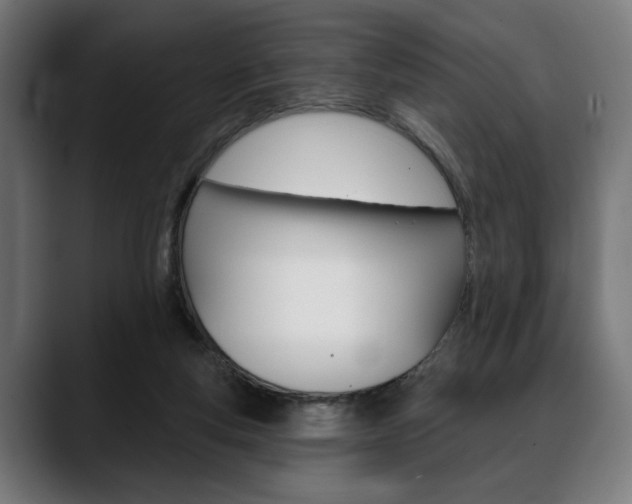 X0000088630163200705250905