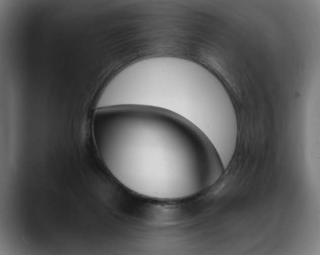 X0000088630164200705250905