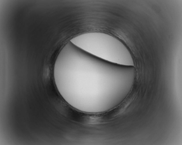 X0000088630165200705250905