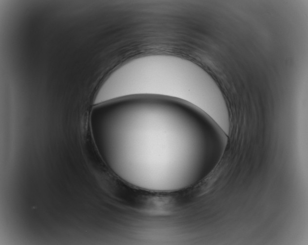 X0000088630168200705250905