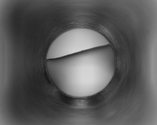 X0000088630169200705250905