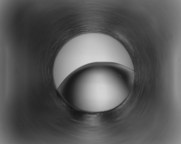 X0000088630170200705250905