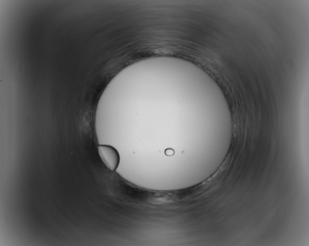 X0000088630175200705250905