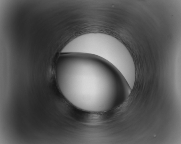 X0000088630176200705250905