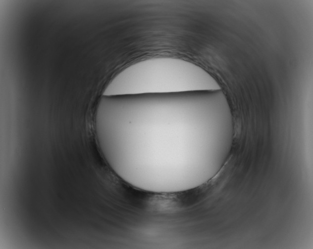 X0000088630179200705250905