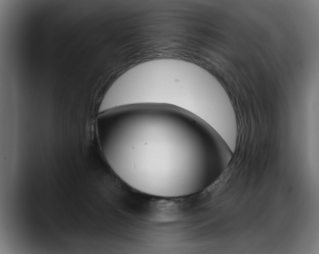 X0000088630180200705250905