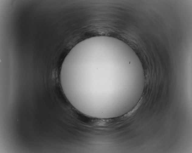 X0000088630182200705250905