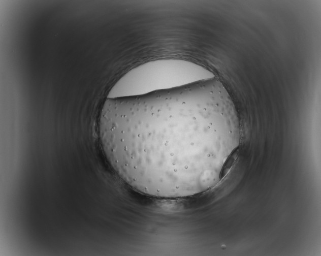 X0000088630187200705250906