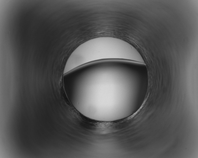 X0000088630192200705250906