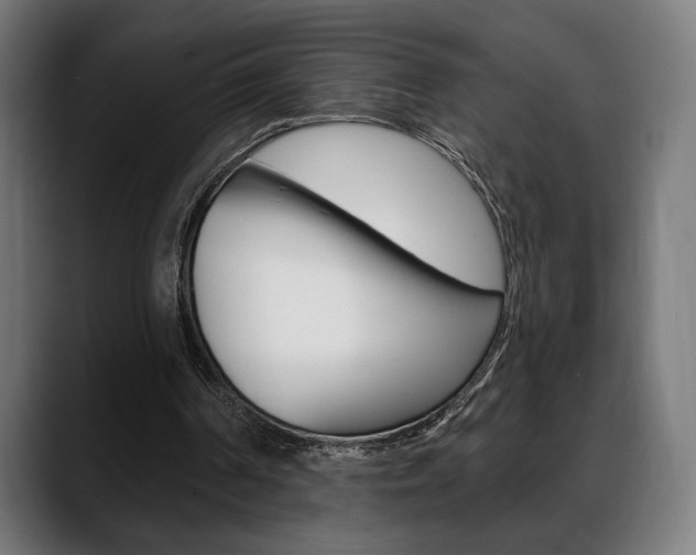 X0000088630194200705250905
