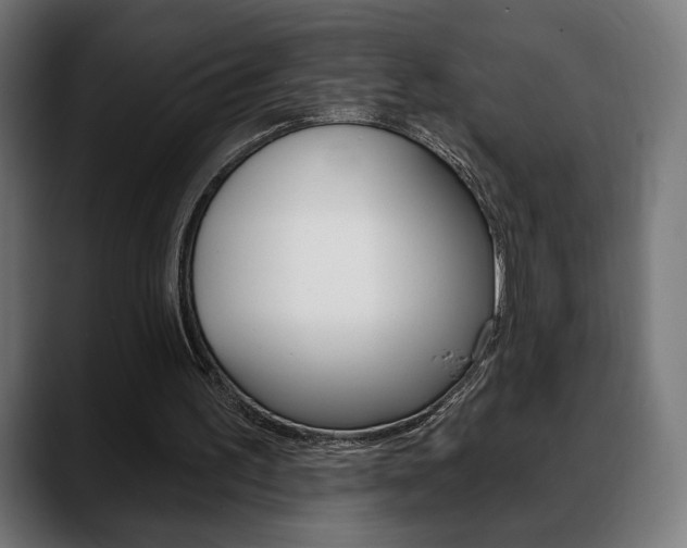 X0000088630195200705250905