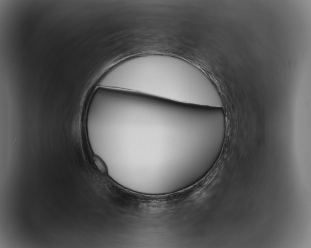 X0000088630196200705250905