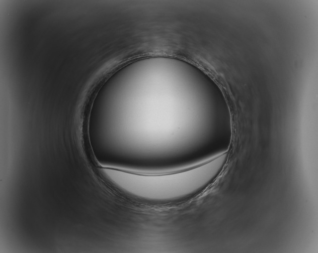 X0000088630197200705250905
