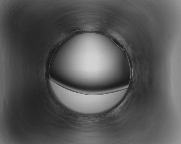 X0000088630201200705250905