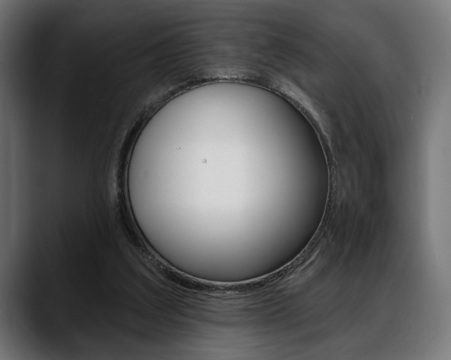 X0000088630203200705250905