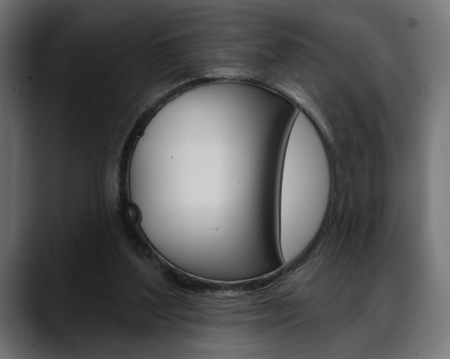 X0000088630204200705250905
