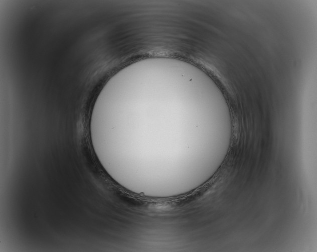 X0000088630208200705250905