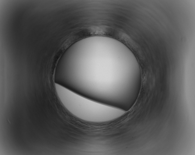 X0000088630209200705250905