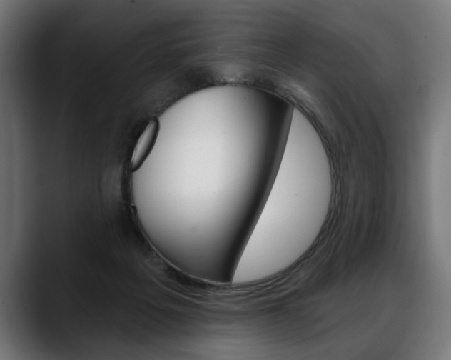 X0000088630217200705250905