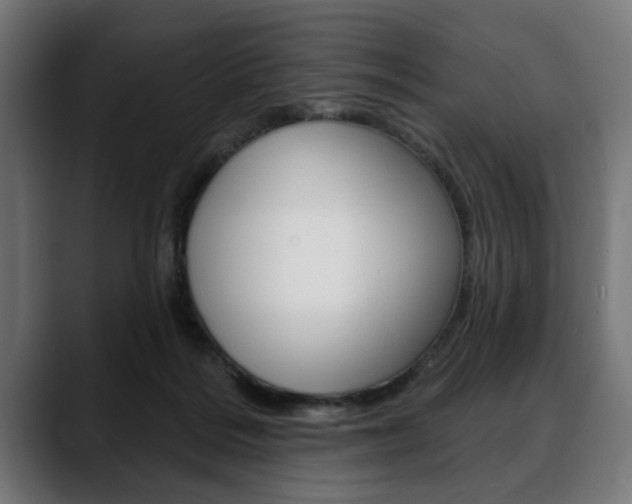 X0000088630220200705250905