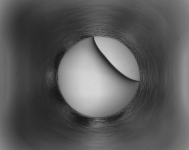 X0000088630222200705250905