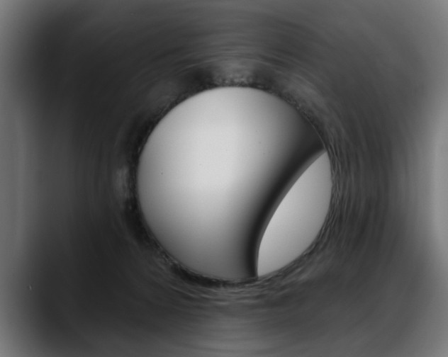 X0000088630224200705250905