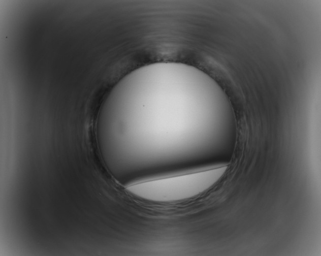 X0000088630225200705250905
