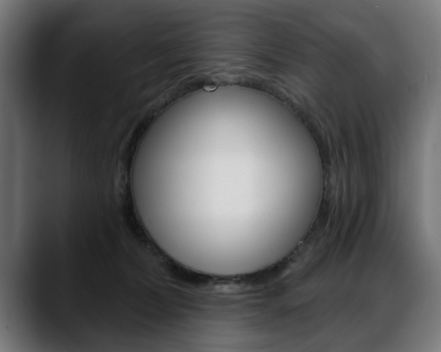 X0000088630228200705250905