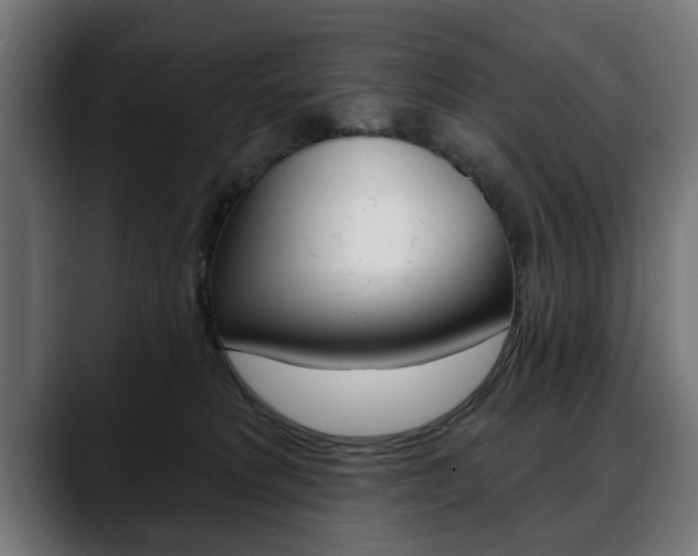 X0000088630229200705250905