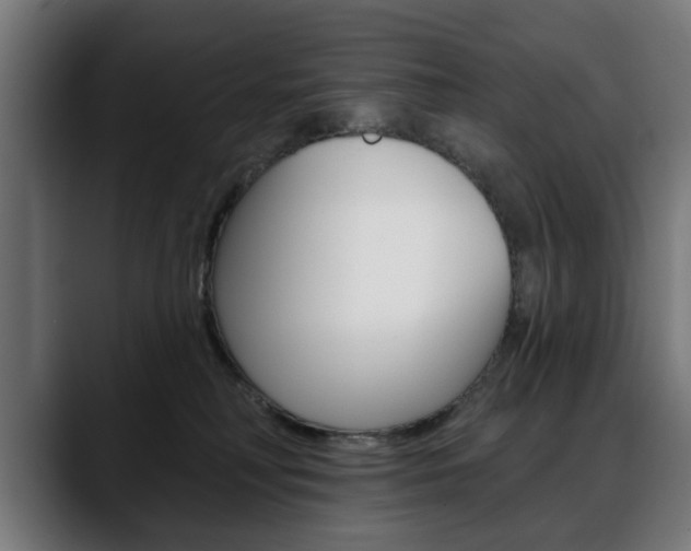 X0000088630230200705250905