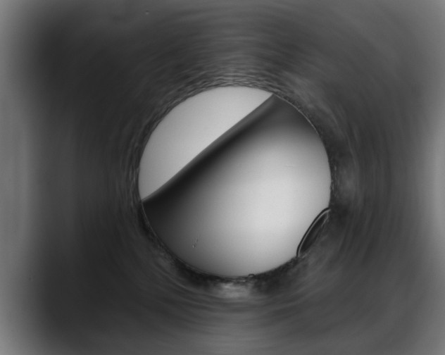 X0000088630232200705250904