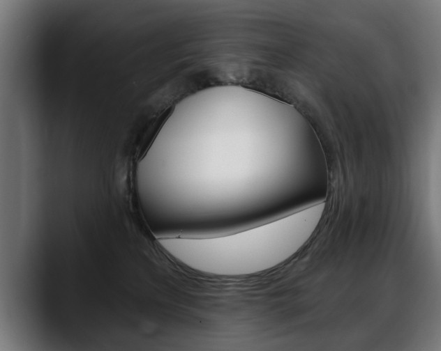 X0000088630233200705250904