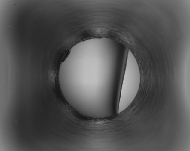 X0000088630235200705250904