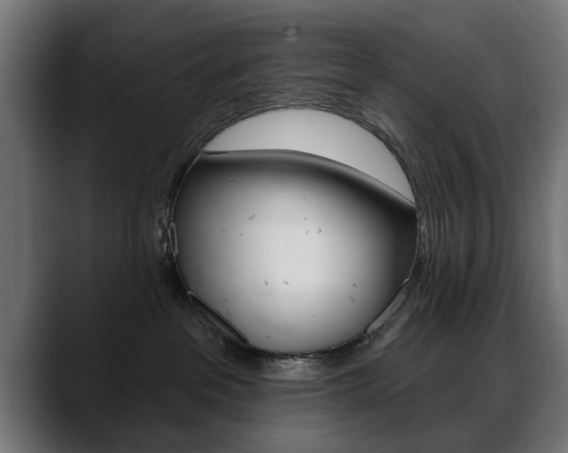 X0000088630237200705250904