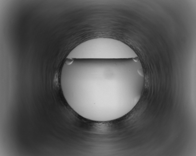X0000088630238200705250904
